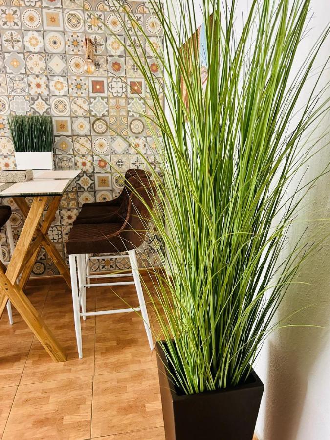 Appartement Boutique Flat With Terrace